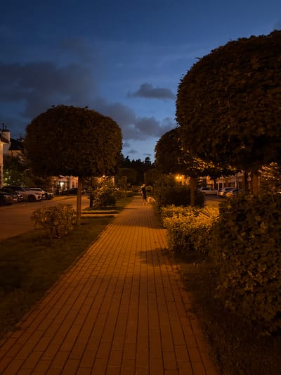 In Sukhanovo, Russia, an evening scene unfolds on a paved walkway lined with manicured trees and dense shrubs. The sky, a deep twilight blue, is partially obscured by scattered clouds. Streetlights cast a warm, orange glow on the brick pathway, illuminating the surroundings. To the left, a row of parked cars, including a white SUV and several dark sedans, are visible along the street. In the distance, buildings with illuminated windows suggest residential or commercial activity. A lone figure, a person with dark clothing, walks a light-colored dog on the walkway. The overall atmosphere is calm and serene, characteristic of a residential area at dusk.