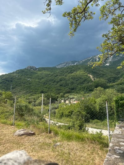 The image depicts a mountainous landscape in Čučuci, Montenegro, with lush green trees covering the slopes. A clear sky is visible, with some clouds, suggesting it is daytime. In the foreground, a wire fence runs along a grassy slope, with a stone wall to the right. A path is visible beyond the fence, winding its way through the vegetation. A small cluster of buildings, likely houses, can be seen nestled among the trees on the mountainside. The overall scene evokes a sense of tranquility and natural beauty. There is no visible text in the image.