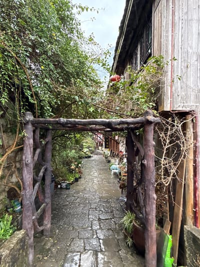 The image displays a narrow, wet cobblestone alleyway in Gongtan, China. A rustic archway constructed from dark, gnarled logs frames the foreground, spanning the path. To the left, a stone wall is extensively covered with green vines and foliage, with multiple potted plants arranged along its base. To the right, a traditional multi-story wooden building with vertically oriented planks features latticed windows and a single red Chinese lantern suspended from its eaves. The cobblestone path, appearing damp and reflective, ascends gently into the distance, flanked by a variety of potted plants and a light blue metal bench visible further down on the right. The overhead sky is overcast, and no individuals are present in the scene.