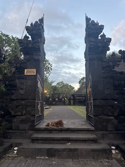 The image shows an ornate, dark stone gateway in Dawan, Indonesia. The gateway is flanked by two intricately carved pillars. A sign with text in a foreign language is mounted on the left pillar. Beyond the gateway, a paved path leads to a courtyard with traditional Indonesian architecture, including thatched-roof buildings and stone statues. A shaggy, brown dog is lying down on the stone steps directly in front of the gateway. The sky above is cloudy with hints of twilight. The overall scene evokes a sense of tranquility and ancient cultural heritage.