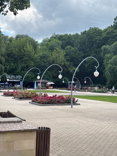 An outdoor scene depicts a park with a paved walkway and surrounding greenery. In the foreground, several decorative lampposts with white globe lights arch over beds of vibrant pink roses. The walkway is made of light-colored interlocking pavers. To the left, a low structure with a stone facade and a granite-topped bench is visible, next to a wooden trash receptacle. In the middle ground, behind the rose beds, are several kiosks. One kiosk has "СпортПрокат" (Sport Rental) written on it and displays bicycles and scooters. Other kiosks appear to be selling food or drinks. People are seen walking and interacting in the park. In the background, a dense line of mature green trees forms a backdrop against a cloudy sky. The overall environment suggests a public park or recreational area on a cloudy day. The scene is likely located in Александровка, Russia, as per the provided context.