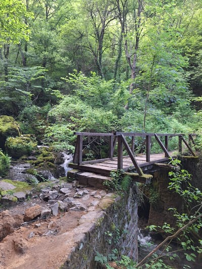 The image depicts a small wooden bridge with a railing, situated in a forested area, likely near Zasele, Bulgaria. The bridge spans a rocky terrain with moss and vegetation, over which water flows. The environment is characterized by lush greenery and rocky formations. No people or animals are visible in the frame.