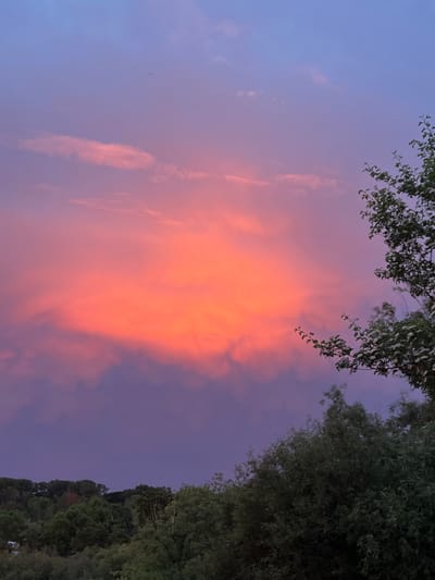 This is a photograph of a sunset sky over a wooded area. The sky is a gradient of colors, from deep purple at the bottom to pink and orange in the clouds. The sun is not visible, but its light is illuminating the clouds from behind. In the foreground, there is a dense forest of trees. A tree with white flowers is visible on the right side of the image. The photograph was taken in the city of Mayak, Russia. The scene is peaceful and serene, evoking a sense of natural beauty.