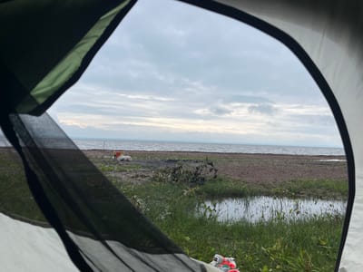 The image is taken from inside a tent, looking out towards a body of water, likely a lake or sea, under a cloudy sky. The foreground shows the interior of the tent with its mesh screen. Beyond the tent, there is a patch of grass, a small puddle, and a pebbly shore. On the shore, there is a red and yellow bucket, some white bags, and a pile of dry branches that appear to have been part of a campfire. The overall scene suggests a campsite near a body of water, possibly in a natural or rural setting. There are no visible people or animals in the image. The location is not specified in the image or its context.