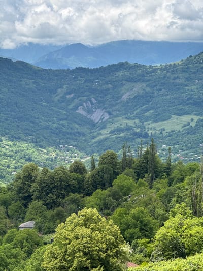 This is an outdoor, vertical, high-angle shot of a mountainous, forested landscape. The scene appears to be in Gagulechi, Georgia. In the foreground, a dense, lush green forest with a variety of trees dominates the right side of the frame. Some of the trees are brightly lit, suggesting it is daytime and there is sunlight filtering through the canopy. A small, rustic building with a grey, tiled roof is partially visible nestled within the trees.
In the mid-ground, the forest continues down a steep slope, giving way to a valley. Scattered houses with red roofs are visible in the valley, indicating a small village. The valley floor is a patchwork of green fields and more trees.
In the background, several layers of mountains recede into the distance. The closest mountains are heavily forested, while the farthest mountains are hazy and appear to be a muted blue, due to atmospheric perspective. A strip of dramatic, white, fluffy clouds hangs horizontally across the far left of the image, obscuring some of the distant peaks.
The overall impression is one of serene, natural beauty. The lighting suggests it is daytime, possibly late morning or early afternoon, with a mix of sun and clouds. The lush greenery indicates a season of growth, likely spring or summer. There is no visible text in the image.