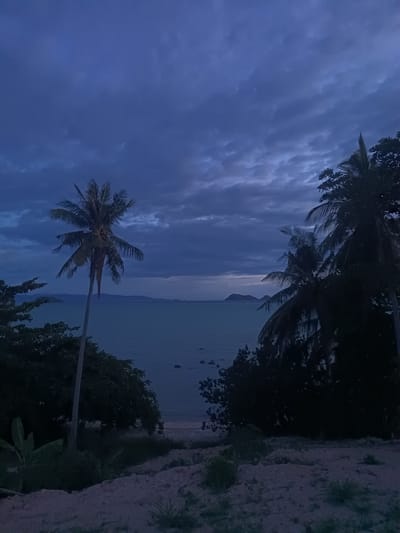 This image depicts a twilight or dusk scene at the coast in Baan Hin Kong, Thailand. The sky is predominantly dark blue with thick cloud cover. In the foreground, the terrain is uneven, covered with sand and sparse vegetation. Two prominent palm trees are visible; one on the left stands tall and slender, the other is situated to the right. The ocean occupies the central part of the image and leads to the distant horizon. A visible beach is present between the foreground vegetation and the water's edge. The image gives the impression of a quiet, tranquil coastal setting under a cloudy sky.