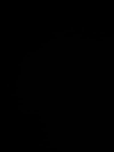 The image and all its provided crops are entirely black. There are no visible subjects, objects, or scene elements. No activity or event can be discerned. There are no notable details regarding time of day, weather, or location cues, and no visible text. The content is uniformly dark, offering no visual information.