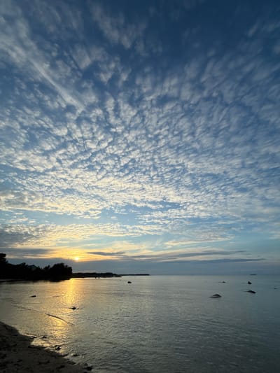 This is a photograph of a seascape at sunset in Rohuneeme, Estonia. The sky is filled with scattered, white, cirrocumulus clouds against a blue sky. The sun is low on the horizon, casting a golden reflection on the calm water. The foreground shows a sandy beach with several dark, scattered rocks. Along the shoreline, silhouetted trees line the land. In the distance, a faint line of land is visible. There are a few small rocks in the water, and a ship is visible on the horizon. The overall impression is one of tranquility and natural beauty.