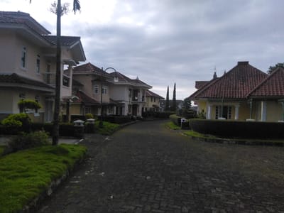 The image depicts a residential street in the city of Røros, Norway, under an overcast sky. The dark, patterned paver road curves gently from the foreground into the mid-ground.
On the left side of the street, multiple two-story houses are visible. These structures feature light beige or pale yellow stucco walls, reddish-brown tiled hip roofs, and white-framed windows. Several houses include small balconies with dark railings. A tall, dark pole, possibly a utility pole or a tree trunk with sparse foliage, stands prominently in the left foreground, partially obscuring the nearest house. Well-maintained green groundcover and various shrubs line the edge of the road, separating it from the properties. Streetlights with curved poles are interspersed among the houses.
On the right side, the foreground is bordered by a meticulously trimmed, dark green hedge. Beyond this, a single-story or 1.5-story house with pale yellow stucco walls and a reddish-brown tiled hip roof is visible. This house features white-framed windows, white columns at its entrance, and an antenna on its roof. Further down the street on the right, additional houses of similar architectural style are discernible, with tall, slender, dark green ornamental trees visible behind them.
The sky is uniformly grey and heavily overcast, indicating diffused daylight. No individuals, vehicles, or animals are present in the scene. The overall environment suggests a quiet, well-maintained residential area.