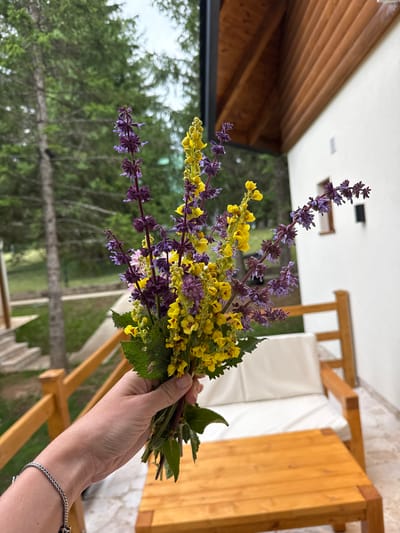 In Kovačka Dolina, Montenegro, a person's hand, adorned with a silver bracelet, holds a bouquet of wild flowers. The flowers are a vibrant mix of purple and yellow blooms, interspersed with green leaves. Behind the hand and flowers, a wooden balcony with a light-colored railing is visible, leading to a white building with a wooden roof. A wooden table and chairs with white cushions are situated on the balcony. The background reveals lush green trees and a cloudy sky, suggesting an outdoor, natural setting.