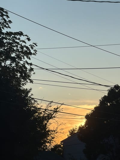 This image captures a silhouetted view of trees and power lines against a sunset sky. The sky transitions from a pale blue at the top to warm orange and yellow hues near the horizon, with some wispy clouds present. Dark, dense foliage from two trees frames the left and right sides of the image. Multiple power lines crisscross the sky at various angles, some appearing taut and others slightly sagged. In the lower right quadrant, the roofline of a house with white siding is visible, partially obscured by the tree. The scene appears to be set in an urban or suburban environment, given the presence of power lines and a house. There are no people or animals visible in the frame.