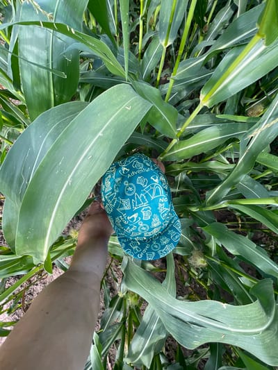 An overhead shot shows a person's arm and a teal baseball cap with a white pattern of outdoor-themed illustrations and text, including "Adventure," "Gravel," "Bikepacking," "GAS," and "Pizza." The cap is resting amongst lush green corn stalks. The scene is set in an outdoor environment, possibly a cornfield, with tall stalks and large leaves dominating the frame. The lighting suggests it is daytime. The location is specified as Perevoznoe, Russia.