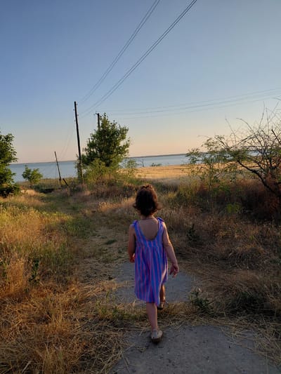A young girl is viewed from behind, walking down a dirt path lined with dry grass and sparse vegetation. She wears a blue and pink striped dress and light-colored sandals. To her left, a body of water stretches into the distance, bordered by a field of dry, golden grass. In the foreground and midground, several wooden utility poles with power lines are visible, suggesting a rural or semi-rural setting. Trees and branches, some bare and others with green leaves, dot the landscape. The sky is a clear, pale blue with a hint of orange or pink near the horizon, indicating it is either sunrise or sunset. The lighting suggests a warm, late afternoon or early morning. The overall scene evokes a sense of quiet, solitary exploration in a natural environment. No text is visible in the image.