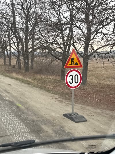 The image depicts a rural or semi-rural roadside scene in Dragushinovo, Bulgaria, viewed from inside a vehicle through a windshield. The foreground shows a wet, unpaved dirt or gravel road with a faint yellow marking on its left side. To the right of the road, a temporary signpost stands, featuring two signs: an upper triangular warning sign with a yellow background and red border depicting a black silhouette of a worker shoveling (indicating "Road Works"), and a lower circular regulatory sign with a white background and red border displaying the number "30" in black (indicating a "Speed Limit 30"). The signpost is secured by a black, flat, rectangular base. In the background, a line of numerous bare deciduous trees with complex branching patterns extends horizontally across the frame. The ground beneath the trees is covered with dry, sparse vegetation. The sky above is overcast and light, and a hazy distant landscape is visible beyond the trees. No individuals are present.
