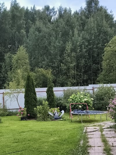 In the outdoor area of a private residence in the settlement of Zverosovkhoz, Russia, a trampoline with a dark blue safety net and frame is situated on a green lawn. Adjacent to the trampoline is a pink goal frame, and a white watering can is placed on the grass. Several evergreen trees, including two tall, conical cypress trees, are visible in the yard, along with other lush green foliage and a bush with white flowers. A white fence runs along the perimeter of the property, separating it from a dense forest in the background. A paved pathway made of light-colored rectangular stones leads into the yard from the right side of the frame. The sky above is overcast.