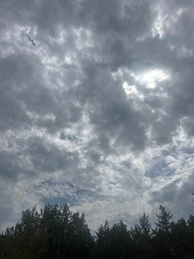 The media file displays a cloudy sky with the sun peeking through in the upper left quadrant. The clouds are a mix of dark gray and white, suggesting an overcast or potentially stormy condition. The sun's rays create a bright, diffused light source. On the right side of the image, the dark silhouettes of trees line the edge, indicating a natural setting, possibly a forest or park. The trees are densely packed and their branches reach upwards into the sky. The perspective is from below, looking up at the sky and trees. The overall mood is somewhat dramatic due to the heavy cloud cover and contrasting sunlight. The time of day appears to be daytime, but the exact hour is difficult to determine. There is no visible text in the media file. The location context provided is Aiyrtau, Kazakhstan.