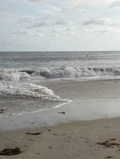 The image depicts a serene beach scene in Laguna Beach, United States of America. A calm ocean stretches to the horizon under a partly cloudy sky. Gentle waves roll onto a sandy shore, leaving a foamy white fringe. Scattered pieces of seaweed lie on the wet sand, indicating the tide is receding. In the distance, a lone buoy bobs on the water. The overall atmosphere is peaceful and natural, with no signs of human activity other than the distant buoy.