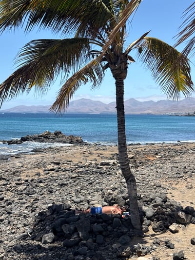 This image captures a vibrant coastal scene, likely in Puerto del Carmen, Spain, showing a rocky beach, the ocean, and a prominent palm tree under a clear blue sky.
In the foreground and extending along the right side of the frame, there is a dark, pebbly volcanic beach composed of various sizes of rocks and stones. The clear blue ocean stretches across the middle ground, with gentle waves breaking against the rocky shoreline. Distant, arid mountains can be seen on the horizon, hinting at the volcanic landscape of the region.
A large palm tree stands on the left side of the image, its textured trunk rising vertically from the rocky ground. Its fronds, a mix of green and some dried brown, spread out against the bright blue sky, creating a tropical silhouette.
Near the base of the palm tree, partially obscured by its trunk and surrounding rocks, a man is visible. He appears to be shirtless, wearing blue swimming shorts. A snorkel mask, with green and blue accents, is positioned on or near his head, suggesting he is either resting after swimming/snorkeling or preparing for the activity.
The time of day appears to be bright daylight, possibly midday or early afternoon, given the clear sky and the strong shadows cast by the palm tree and rocks. The weather is sunny and clear, consistent with a pleasant beach environment. There is no visible text in the image.