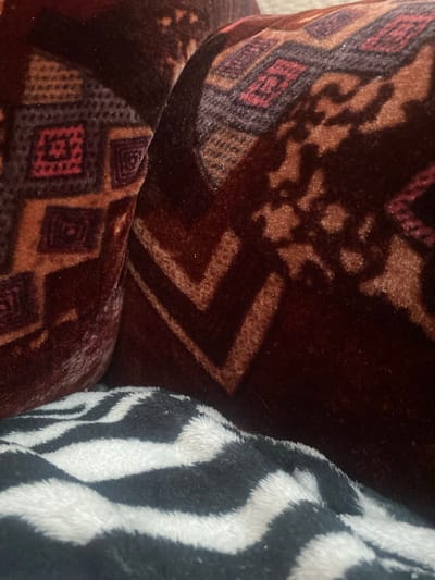 This media file is a close-up, low-angle shot of two textured surfaces, likely fabrics, placed next to each other. The primary subject is the patterned fabric on the left, which appears to be a deep brown velvet with an intricate geometric design in shades of red, maroon, and lighter brown. The pattern features repeating diamond shapes and angular lines. The texture of this fabric seems plush and possibly aged, with some areas appearing slightly matted or worn.
To the right of the patterned fabric is a contrasting material with a bold black and white striped pattern, resembling zebra print or a similar bold design. This fabric is fluffy and soft in appearance, with the individual fibers of the plush material being visible. The transition between the two fabrics is gradual, with the striped fabric overlapping the patterned fabric in the lower right portion of the image.
The lighting in the image is somewhat dim, suggesting an indoor setting, possibly under artificial light or on an overcast day. There are subtle highlights on the velvet fabric, indicating its sheen. No people, specific objects, or clear environmental cues are visible beyond the textures themselves. The image focuses exclusively on the textures and patterns of these two adjacent materials. There is no visible text. The location context of Afanasievo, Russia, does not provide any further visual information relevant to the content of this image.