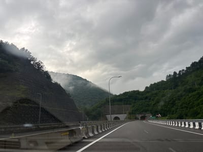 The image depicts a highway scene in Grigalati, Georgia, under a cloudy sky. The road is wet, indicating recent rain. On the left, a steep, reinforced hillside covered in netting and numerous circular anchors rises sharply. A lamppost stands on this hillside. On the right side of the highway, the terrain is also hilly and densely forested with green trees. Two tunnels are visible in the distance, carved into the mountainside. The closer tunnel on the right has an arched entrance and is illuminated. A road sign with Georgian text and a warning symbol is situated near the entrance to this tunnel. The highway itself has multiple lanes, separated by concrete barriers with black and white markings. The perspective suggests the photo was taken from a moving vehicle.