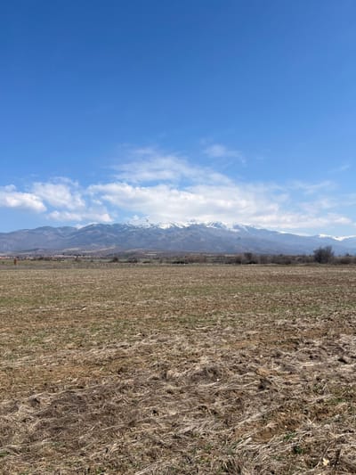 The image presents a rural landscape in the vicinity of Smochevo, Bulgaria. The foreground is occupied by an extensive, tilled agricultural field, exhibiting brown soil, dry stubble, and sparse green growth. In the midground, a distant line of dormant deciduous trees and shrubs separates the field from the base of a mountain range. A small cluster of structures, some with reddish roofs, is visible on the left, indicating a distant settlement. The background is dominated by a majestic mountain range featuring prominent peaks extensively covered in white snow. The sky is bright blue with scattered white cumulus clouds, primarily concentrated above the mountains. No individuals, animals, or active subjects are present within the frame. The scene is illuminated by clear daylight, suggesting late winter or early spring.