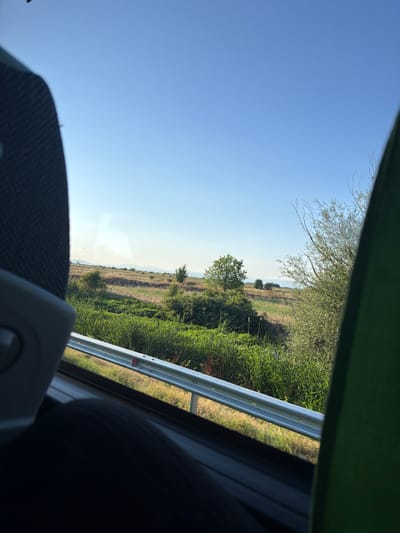 The image shows a view from inside a vehicle, looking out at a rural landscape. In the foreground, parts of the vehicle's interior are visible, including a dark-colored seat with a textured pattern and a green object on the right side. A metal guardrail separates the vehicle from the outside. The landscape beyond the guardrail consists of a field with dry, light-brown vegetation in the middle ground, transitioning to lush green reeds and other plants closer to the foreground. Several trees are scattered throughout the scene. In the distance, rolling hills are visible under a clear blue sky. The sun appears to be shining, casting a warm light on the scene. Based on the provided metadata, the location is Tsalapitsa, Bulgaria. No people are discernible in the image.