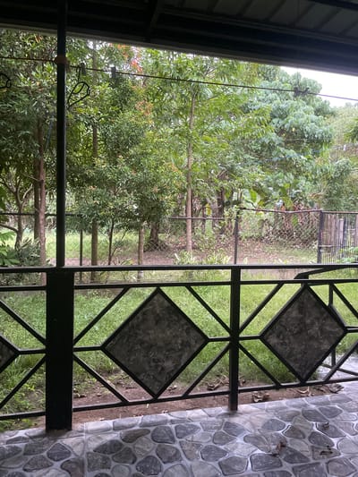 The image depicts a view from a covered porch or balcony, looking out onto a lush, green outdoor area in Bacong, Philippines. The foreground features a tiled floor with irregularly shaped, grey stones. A black metal railing with diamond-shaped insets runs across the bottom portion of the image, separating the porch from the outdoor space. Beyond the railing, a wire-mesh fence encloses a yard filled with thick green grass, fallen leaves, and various trees and foliage. The trees vary in size and density, with some showing hints of reddish new growth. The overall impression is one of a natural, somewhat overgrown environment. The lighting suggests an overcast or shaded day, with muted colors and soft shadows. No people are visible in the image.