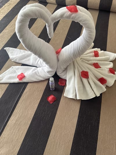 Two white towels folded into the shape of swans are arranged on a striped surface. Red flower petals are scattered around the swans, with one small bottle of what appears to be bath oil placed between them. The striped surface is composed of alternating dark brown and tan bands. The scene is indoors, possibly in a hotel room in Lloret de Mar, Spain. There are no people or animals visible in the image.
