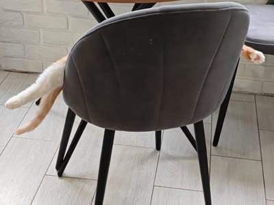 An orange and white cat is partially hidden behind a dark gray upholstered chair with black legs. The cat's tail, a fluffy mix of orange and white, extends out from behind the chair on the left side of the frame. On the right side, a single white paw with pink paw pads is visible, peeking out from behind the chair. The chair is positioned on a tiled floor. In the background, a white brick wall is visible, suggesting the scene is likely indoors, possibly in a residence in Боровский, Russia. The overall impression is one of a pet hiding or resting in a casual, domestic setting.