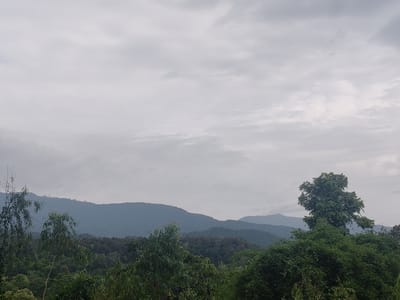 The image depicts a panoramic view of a mountainous landscape with lush vegetation in the foreground, likely in Ban Pong Klang, Thailand. The sky is overcast with a thick layer of clouds, casting a diffused light over the scene. Rolling hills and mountains are visible in the background, their shapes softened by the atmospheric conditions. In the immediate foreground, a dense canopy of various trees and foliage creates a verdant barrier, with a prominent, tall tree standing out on the right side of the frame. The overall impression is one of a natural, undeveloped environment under a gray sky. There are no people or visible man-made structures in the image.