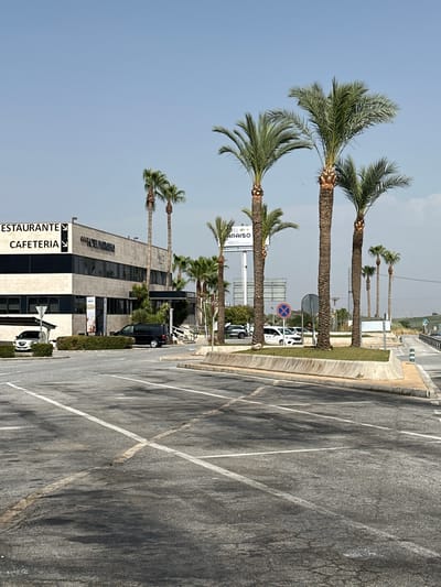 The image depicts a clear, bright day in ÁRea De Servicio, Spain, with a low angle of the sun. In the foreground, a paved intersection is visible, marked with white lines indicating lanes and parking spaces, some of which appear wet or stained. A concrete curb with a grassy median separates the road from the sidewalk. Dominating the mid-ground is a modern, multi-story building with a light-colored facade and dark-tinted windows. Prominently displayed on the building are the words "RESTAURANTE" and "CAFETERIA" in large black lettering, along with "HOTEL PARASO" and "4 AÑOS". Several tall palm trees are scattered across the scene, some in front of the building and others along the roadside. A black van is parked in front of the building, and a white car is parked under a covered structure to the left. In the background, a highway overpass is visible, along with more palm trees and a hazy sky. The overall impression is that of a service area or rest stop located on a highway.