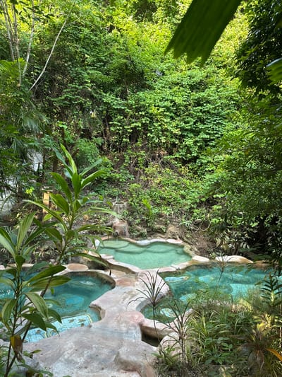 The image depicts a serene natural hot spring in Khlong Thom Nuea, Thailand. The hot spring features several interconnected pools with clear, turquoise water, surrounded by lush green vegetation. The pools are carved into a rocky, naturalistic setting, with some areas showing decorative tile work at the bottom of the pools. Several types of tropical plants, including large-leafed plants and reeds, grow around the edges of the pools, adding to the natural ambiance. The background is dominated by dense forest, with the canopy of trees creating a shaded environment. Sunlight filters through the leaves, dappling the water and surrounding foliage. There are no people visible in the image.