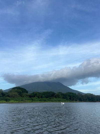 The image depicts a serene natural landscape, likely a lakefront in Altagracia, Nicaragua. In the foreground, dark, rippling water fills the lower half of the frame. In the mid-ground, a lush green treeline runs along the horizon, densely packed with various trees. Rising above the treeline in the background is a large, verdant mountain, its peak partially obscured by a dramatic, heavy grey cloud formation. The sky above is a mix of pale blue with streaks of white and darker grey clouds, suggesting a potentially overcast or changing weather condition. Two white birds are visible on the water's surface in the mid-ground, one in flight with its wings spread wide, and another standing further in the distance. Several dark specks, possibly birds in flight, are scattered across the sky above the mountain.