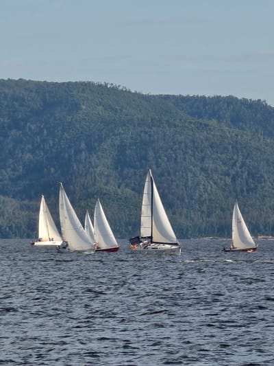 The image depicts a sunny day with several sailboats on the water, with a densely forested hillside in the background. The sailboats, all with white sails, are sailing from left to right across the frame. The water is choppy and dark blue, reflecting the clear sky. The hillside, covered in evergreen trees, rises steeply from the water's edge. The scene is likely on the Volga River near the village of Podstepki, Russia, given the characteristic landscape and typical activities in the region. There are no visible people or any specific interactions between the sailboats, suggesting a recreational sailing event or a casual outing on the water.