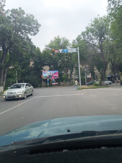 The image captures a street scene in the city of Taraz, Kazakhstan, likely at an intersection. A silver Toyota sedan is driving on the road. A pedestrian is crossing the street at a designated crosswalk. There is a billboard in the background advertising "ALTEL," a mobile communication company. Traffic lights are visible, with one showing a red light and a digital countdown timer displaying "21." Trees line the street, and buildings are visible in the distance. The sky is overcast. The photograph appears to be taken from inside another vehicle.
