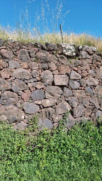 The image displays a close-up, eye-level, full-frame view of a weathered stone wall, constructed from irregular, dark reddish-brown and gray rocks of varying sizes. The wall exhibits signs of age and exposure, with some stones showing lichen growth and sparse dry vegetation clinging to the crevices. Above the wall, a dense growth of green grass and other vegetation is visible, interspersed with dry stalks of grass and some small yellow wildflowers. A thin wire, possibly part of a fence, runs horizontally across the top of the wall. In the background, a clear, bright blue sky dominates the upper portion of the frame, with a single wooden post emerging from the vegetation behind the wall. The scene suggests a rural or historical setting, likely in Sant Joan les Fonts, Spain, given the characteristic dry stone wall construction often found in the region. There are no people or animals present in the image.