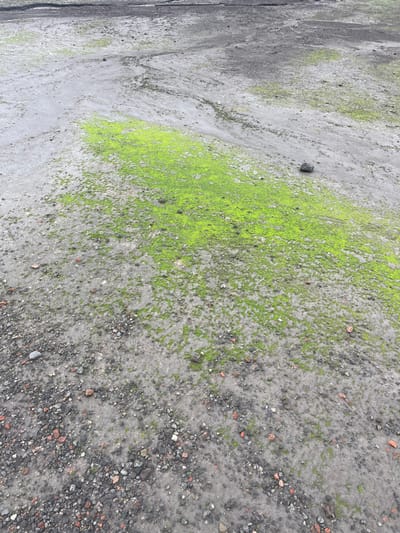 A ground surface of mixed gravel and dirt slopes downward from left to right. Patches of vibrant green moss grow sporadically across the surface, concentrated towards the upper central portion. The soil color transitions from a light gray on the left to a darker, more gravelly gray-black on the right. Small rocks and pebbles are scattered throughout, becoming more densely packed on the right side. A solitary dark stone rests in the mossy area. The image is taken from an elevated perspective.