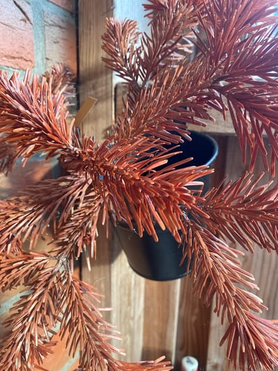 A close-up, eye-level shot focuses on dried, copper-colored pine needles. The needles are arranged on branches that appear to be part of a decorative evergreen. In the background, out of focus, a black pot is visible, suggesting the plant is in a container. To the left, a brick wall with earthy tones provides a textured backdrop. To the right, vertical wooden planks create a rustic wall. The scene is likely indoors or in a sheltered outdoor area, given the materials and the controlled lighting. The image offers no indication of a specific location within Lütjenwestedt, Germany, beyond the general materials suggested.