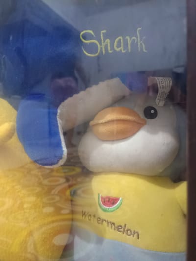 The image depicts a close-up view of several stuffed toys displayed in what appears to be a glass-fronted cabinet. One stuffed toy, primarily white and blue, has "Shark" embroidered in yellow lettering above it. Another stuffed toy, yellow with a blue trim, is partially visible. A third stuffed toy, also yellow, features an embroidered image of a watermelon slice and the word "Watermelon" below it. The overall lighting suggests an indoor environment. The location within Cianjur, Indonesia, is not determinable from the visual information present in the image.