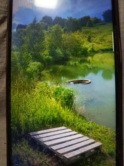 The image depicts a serene natural landscape, likely a pond or small lake, surrounded by lush green vegetation and trees. In the foreground, a simple wooden structure, possibly a small pier or ramp, is placed on the grassy bank. The water has a greenish hue, reflecting the surrounding foliage and the sky, which appears to be partly cloudy with a bright sky. In the water, there is a circular object, possibly a tire or buoy. The overall impression is one of a peaceful, rural setting, potentially a recreational area within or near the city of Svoboda, Russia, given the prompt's context. No people are visible in the scene.