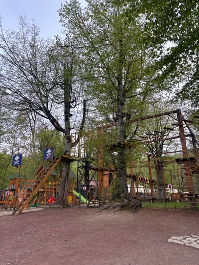 The image shows an outdoor adventure park in an unidentified location in the city of Unknown, Armenia. The park is built around several mature trees, with wooden platforms, ladders, and rope bridges connecting them. Some of the structures feature pirate-themed flags with skull and crossbones. Various obstacle course elements, like zip lines and climbing frames, can be seen. A red dirt path runs along the edge of the park, and there is dense foliage and other structures visible in the background. The sky appears overcast. There are no people visible in the image.