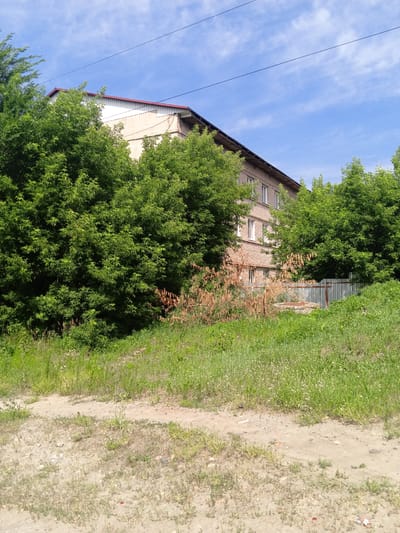This image captures a section of a three-story brick building in Pavlovsk, Russia, partially obscured by dense green foliage. The building has a light-colored upper section and a sloped roof with red trim. Several windows are visible on the brick facade. In front of the building, there is a dirt path with sparse vegetation. A metal fence runs along the side of the property, and a circular concrete structure, possibly a well or drainage basin, is visible near the fence. The environment is characterized by overgrown green grass, a bright blue sky with scattered white clouds, and overhead power lines. The scene appears to be an outdoor, residential area.