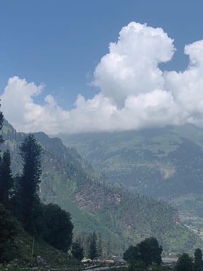 The image captures a serene mountain landscape, likely in the vicinity of Palchan, India, given the characteristic terrain and vegetation. The scene is dominated by towering, verdant mountains that recede into the distance. A clear blue sky, adorned with fluffy white clouds, forms the upper portion of the frame. The mountains are densely covered with a mix of coniferous trees and scattered patches of grassland. In the foreground, a steep, rocky slope is visible, with a few dark green, mature trees standing tall. A single, thin utility pole extends upwards from the slope. The mid-ground reveals more mountains, with a visible road or path winding through them, suggesting human presence and infrastructure within the natural beauty. The overall atmosphere is one of tranquility and natural grandeur, typical of the Himalayan foothills.