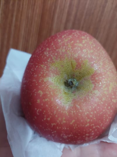 The image shows a close-up, overhead view of a single red apple held by a person's hand, partially wrapped in white tissue paper. The apple is round with a slightly indented stem area. Its skin is predominantly red, but it's speckled with small yellow dots. Around the stem, there's a patch of yellowish-green discoloration with a textured, slightly cracked appearance. The apple appears moist, with some small, shiny water droplets visible on its surface.
The background consists of a wooden surface with a visible wood grain pattern, suggesting it might be a table or countertop. The lighting is diffused, creating soft shadows, and there are no strong indications of the time of day. The overall setting appears to be indoors, possibly in a home or kitchen, given the presence of the apple and tissue paper.
The main subject is the apple, and the secondary subject is the hand holding it, which is partially visible on the right side of the frame. The hand is holding the apple gently, with the tissue paper providing some cushioning. The activity is simply the holding of the apple. No text is visible in the image. The context of Jelutung, Indonesia, is external information and not visually present in the image itself.