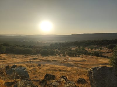 The image depicts a rural landscape in Ledrada, Spain, at what appears to be sunrise or sunset. The sun, a bright, luminous orb, is positioned in the upper left quadrant of the sky, casting a warm, golden light across the scene. Rolling hills covered in a sparse forest of deciduous trees dominate the middle ground. The foreground features dry, golden grass interspersed with scattered rocks and boulders, some of which are quite large and dark. The sky is a pale, hazy yellow, transitioning to a lighter tone towards the horizon, with faint mountain ranges visible in the far distance. The overall atmosphere is serene and natural, characterized by the warm light and the rugged terrain.