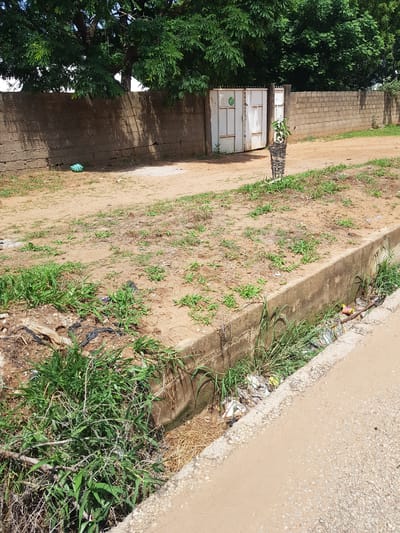 This media file shows an outdoor scene in Palade, Nigeria. The image is oriented vertically, with the top of the frame on the left. In the background, there is a rough brick wall and lush green trees with dark trunks. In front of the wall, there are two white metal gates, and a small plant in a woven basket is placed in front of them.

The foreground consists of a dirt path or ground with scattered dry grass and small green plants growing. To the right of the dirt path, there is a concrete drainage ditch, partially filled with water and debris, including plastic wrappers and other trash. This ditch is bordered by a concrete curb and a dirt pathway. The overall scene appears to be in a rural or semi-urban area, possibly the entrance to a property, given the presence of the gates and wall. The lighting suggests it is daytime, with shadows cast by the trees and the wall. The presence of scattered trash indicates a lack of proper waste disposal. No people are visible in the image. There is a green circular sticker with white text on the left gate, but the text is not legible.