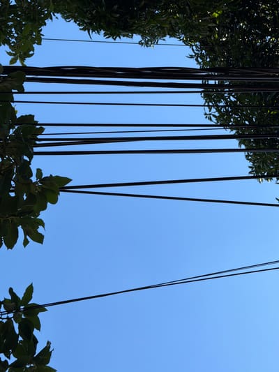 The image shows a clear blue sky with several dark, hanging strands against it. On the left side of the frame, lush green leaves and branches are visible, some of which appear to be the source of the hanging strands. Towards the bottom right, more green foliage is visible, also against the blue sky. The hanging strands are dark and appear to be cylindrical, with some showing a slight curve. They are numerous and hang vertically, creating a striking visual contrast with the bright sky. The scene suggests an outdoor setting, likely a park or garden, given the presence of trees and foliage. The time of day appears to be daytime, with the bright blue sky indicating sunny weather. There is no visible text in the image. The overall mood is peaceful and natural. The location context provided is Asuncion, Paraguay.