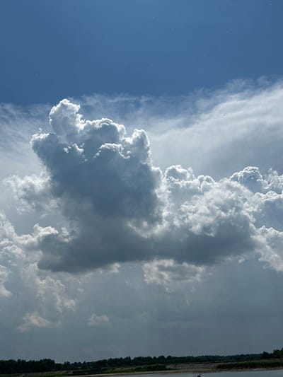The media file depicts a dynamic sky over a waterside landscape, oriented vertically. The sky is dominated by a dramatic interplay of clouds. On the left, a clear blue sky is dotted with tiny white specks, possibly dust or distant insects. A large, billowy white cloud formation with distinct, textured edges occupies the center, catching the sunlight and casting shadows. To the right, the clouds become darker and more diffused, suggesting a stormier or overcast condition.

Along the right edge of the frame, a narrow strip of land is visible. This land features a dark line of trees, hinting at a forest or dense vegetation. Beyond the trees, a calm body of water stretches to the horizon. A thin, lighter-colored line runs along the edge of the water, possibly a man-made embankment or path. There appear to be very small figures, possibly people, near the water's edge and on the embankment, though they are too indistinct to identify clearly.

The lighting suggests it is daytime, likely late afternoon or early evening, given the contrast between the bright, sunlit clouds and the darker, shadowed areas. The weather appears changeable, with both sunny and overcast conditions present simultaneously. The overall scene evokes a sense of natural grandeur and the vastness of the sky. The location context of Pravda, Russia, further grounds the image in a specific geographical setting. No visible text is present in the media file.