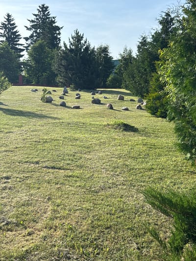 This is a medium-shot, outdoor, horizontal, eye-level, natural light photograph taken in Valozhyn, Belarus. The scene depicts a well-maintained, gently sloping lawn with scattered rocks arranged in an artistic or symbolic manner. In the background, a line of mature evergreen trees forms a natural border, with the sky visible above them. The lighting suggests it is a sunny day, casting shadows across the grass. There are no people or animals visible in the image. The rocks vary in size and shape, and some appear to be deliberately placed. A small, sparsely-leaved evergreen sapling is centrally located in the lawn, near some of the rocks. The overall impression is one of tranquility and natural beauty, possibly in a park or garden setting.