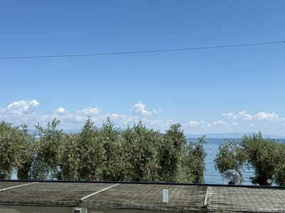 The image depicts a scenic view from a rooftop in Thassos, Greece. In the foreground, a weathered, woven reed-like material forms the roofing. A black cable stretches horizontally across the upper portion of the frame against a clear, bright blue sky. Below the cable, a line of lush green trees, likely olive trees given the region, partially obscures a tranquil, light blue sea. In the distance, the hazy outlines of mountains are visible across the water. On the roof in the right side of the frame, a clear glass globe light fixture with a visible bulb is present. The overall scene suggests a bright, sunny day with a coastal ambiance.